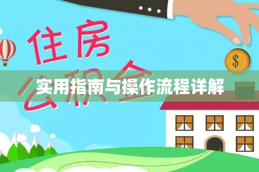 市中区实用指南与操作流程详解
