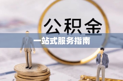市中区一站式服务指南